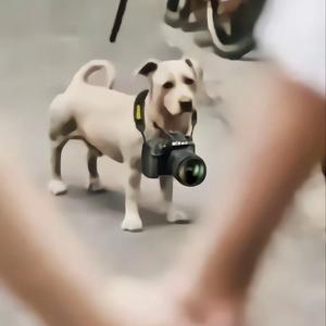 寻找错误