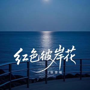 最最不舍的人偏偏要放下