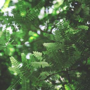 某年某月某天（片段版）