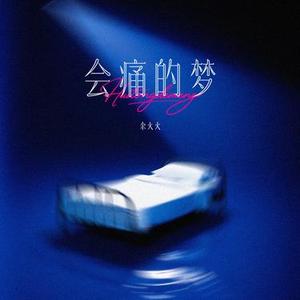 会痛的梦 (DJ版)0.8x版