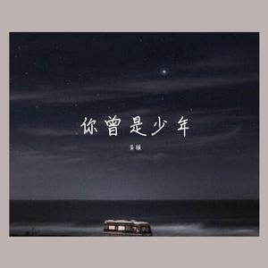 你曾是少年