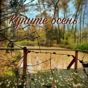 Купите осень
