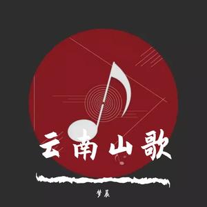 云南山歌-假烟假酒假朋友（电音重鼓版）