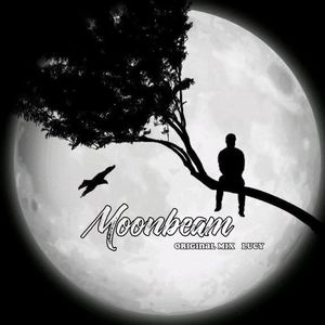 Moonbeam (月光之夜)