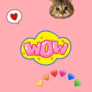 West sky 西边的天空（翻自 金世正 俞延静）