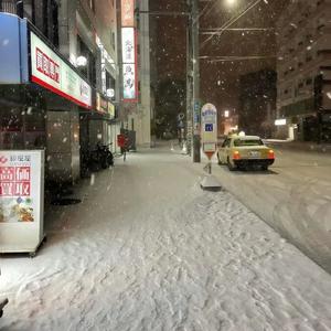雪落禁区