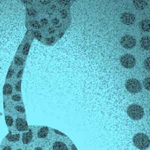 Ambitious Vacuity Mucking About