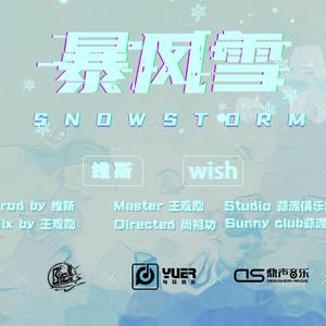 暴风雪SNOWSTORM