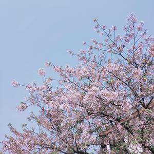 잘 지내고 있니过得好吗（翻自 윤미래 / 펀치）（翻自 윤미래 / 펀치）