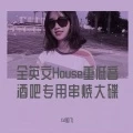 全英文House重低音酒吧专用串烧大碟