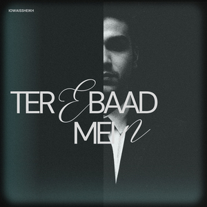 Tere Baad Mein