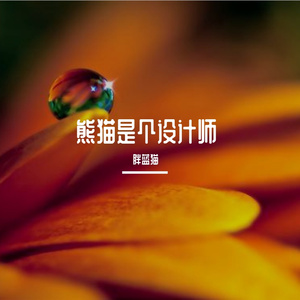 熊猫是个设计师