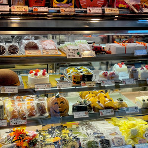 下一次爱情来的时候