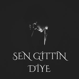 Sen Gittin Diye