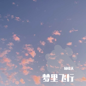 梦里飞行