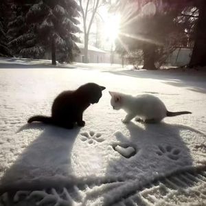 "冰乐" sasi×bobby×sadpiano type memphis beat