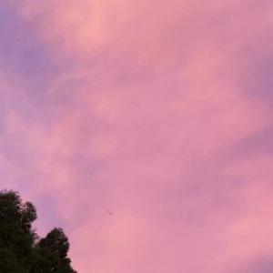 SLIENCE(改编自AZORAland)