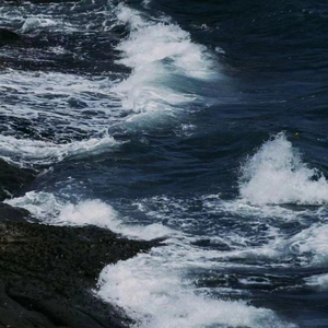 先说谎的人-顶配版