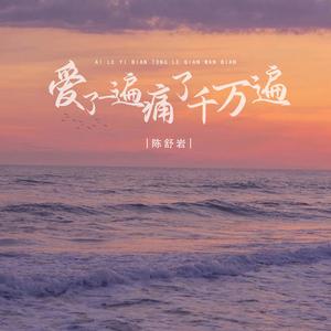 爱了一遍痛了千万遍 (DJ版)