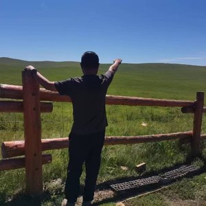 生命之殇的追问