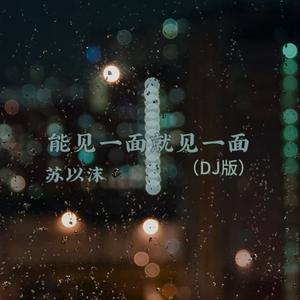 能见一面就见一面 (Dj版)