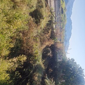 喝完这杯时间的酒