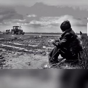 郑钱花（Live2017）