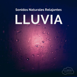 Sonidos Naturales Relajantes: Lluvia, Pt. 07