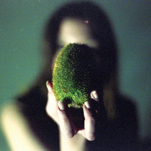 In The Late Afternoon