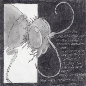 GREEN 55 (Don't Think Too Much At This Time)