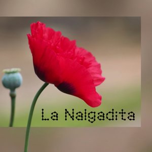 LA NALGADITA (Dance)