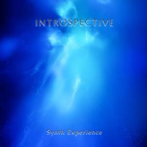 Introspective