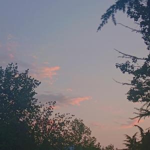 宁缺毋滥（Prodby Rick1y）