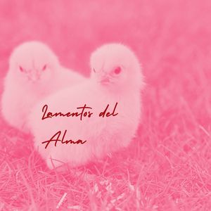 El Vacio Que Dejaste