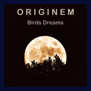 Birds Dreams