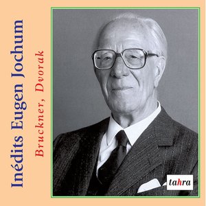 Cello Concerto in B Minor, Op. 104, B. 191: II. Adagio, ma non troppo