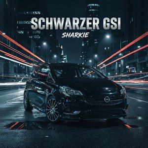 Schwazer Gsi