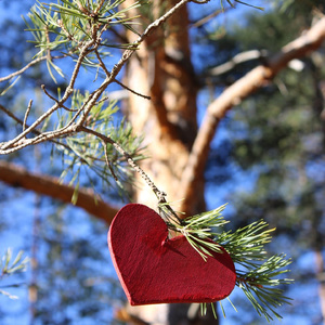 Выбор без сомнения