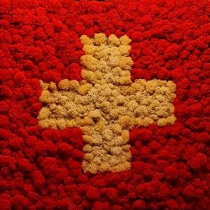 SWISSNATI COUNTER ATTACK