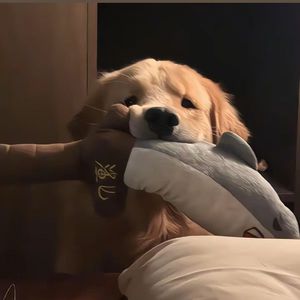 到如今的入眠时分