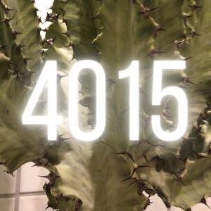 4015