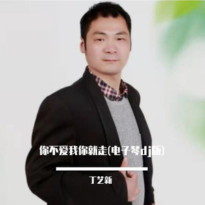 丁艺新-你不爱我你就走(电子琴dj版)