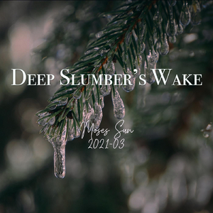 Deep Slumber's Wake