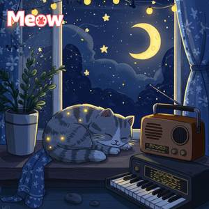 Starry Nights and Soft Purrs