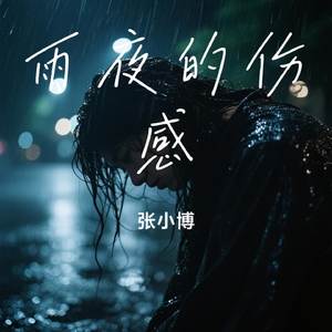 雨夜的伤感