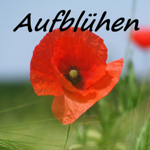 Aufblühen