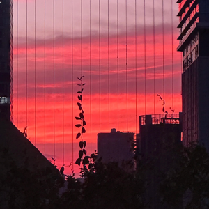 我会赶在离别之前