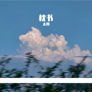 枕书
