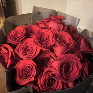 小小情歌 (Prod by Yzz)