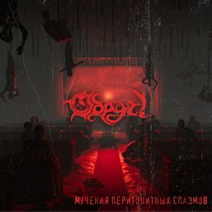 Мастурбация на совокупление кошек в тормозящем слайд-шоу